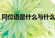 同位語(yǔ)是什么與什么的關(guān)系（同位語(yǔ)是什么）