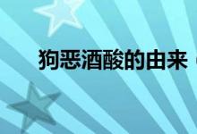 狗惡酒酸的由來（狗惡酒酸怎么來的）