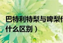 巴特利特梨與啤梨什么區(qū)別（啤梨和普通梨有什么區(qū)別）
