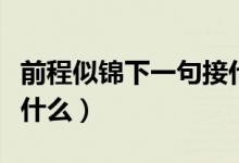 前程似錦下一句接什么好（前程似錦下一句接什么）