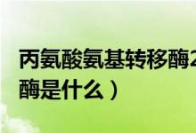 丙氨酸氨基轉(zhuǎn)移酶200多嚴(yán)重嗎（丙氨酸轉(zhuǎn)氨酶是什么）