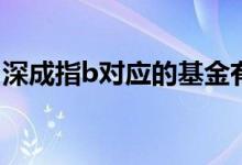 深成指b對應(yīng)的基金有哪些（深成指B怎么買）