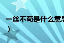 一絲不茍是什么意思啊(一絲不茍是什么意思)