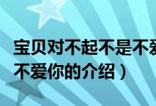 寶貝對不起不是不愛你（關于寶貝對不起不是不愛你的介紹）