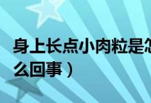身上長(zhǎng)點(diǎn)小肉粒是怎么回事（身上長(zhǎng)小肉粒怎么回事）