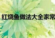 紅燒魚做法大全家常（紅燒魚家常做法大全）