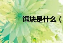 餌塊是什么（餌塊是什么做的）