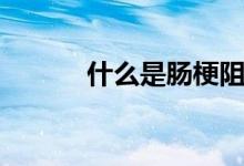 什么是腸梗阻（什么是腸梗塞）