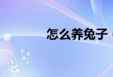 怎么養(yǎng)兔子（養(yǎng)兔子的方法）