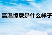 高溫驚厥是什么樣子（高溫驚厥是什么意思）