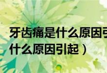 牙齒痛是什么原因引起的吃什么好（牙齒痛是什么原因引起）