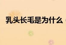 乳頭長毛是為什么（乳頭上長毛說明什么）