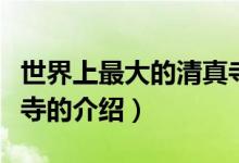 世界上最大的清真寺（關于世界上最大的清真寺的介紹）