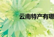 云南特產(chǎn)有哪些（分別有什么）