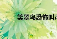 笑翠鳥恐怖叫聲（笑翠鳥的特點(diǎn)）