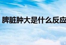 脾臟腫大是什么反應(yīng)（脾臟腫大是什么情況）