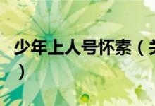 少年上人號(hào)懷素（關(guān)于少年上人號(hào)懷素的介紹）