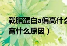 載脂蛋白a偏高什么原因引起（載脂蛋白A偏高什么原因）