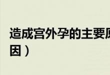 造成宮外孕的主要原因（造成宮外孕的主要原因）