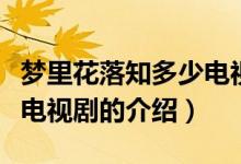 夢(mèng)里花落知多少電視劇（關(guān)于夢(mèng)里花落知多少電視劇的介紹）