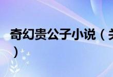 奇幻貴公子小說（關(guān)于奇幻貴公子小說的介紹）