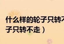 什么樣的輪子只轉(zhuǎn)不走打一生肖（什么樣的輪子只轉(zhuǎn)不走）