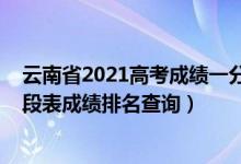 云南省2021高考成績一分一段表（云南2022年高考一分一段表成績排名查詢）