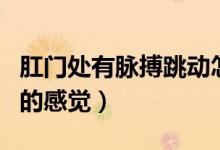 肛門處有脈搏跳動(dòng)怎么回事（肛門有脈搏跳動(dòng)的感覺）