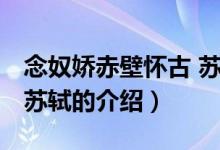 念奴嬌赤壁懷古 蘇軾（關(guān)于念奴嬌赤壁懷古 蘇軾的介紹）