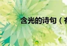 含光的詩(shī)句（有什么含光的詩(shī)句）
