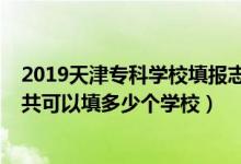 2019天津?qū)？茖W(xué)校填報(bào)志愿（2022年天津高考專(zhuān)科志愿一共可以填多少個(gè)學(xué)校）