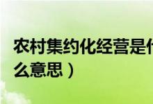 農(nóng)村集約化經(jīng)營(yíng)是什么意思（集約化經(jīng)營(yíng)是什么意思）