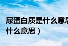 尿蛋白質(zhì)是什么意思代表著什么（尿蛋白質(zhì)是什么意思）