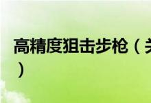 高精度狙擊步槍（關(guān)于高精度狙擊步槍的介紹）