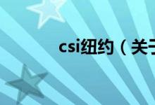 csi紐約（關(guān)于csi紐約的介紹）