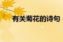 有關(guān)菊花的詩(shī)句（菊花古詩(shī)十首賞析）