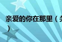 親愛(ài)的你在那里（關(guān)于親愛(ài)的你在那里的介紹）