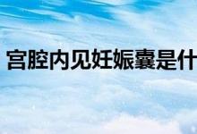 宮腔內(nèi)見妊娠囊是什么意思（妊娠囊是什么）