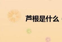 蘆根是什么（蘆根詳細(xì)介紹）