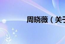 周曉薇（關(guān)于周曉薇的介紹）