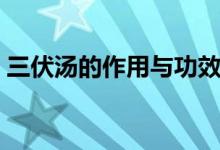 三伏湯的作用與功效（三伏貼的作用與功效）