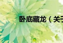 臥底藏龍（關于臥底藏龍的介紹）