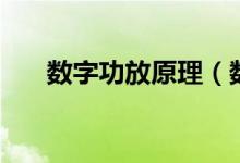 數(shù)字功放原理（數(shù)字功放是什么原理）