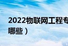 2022物聯(lián)網(wǎng)工程專業(yè)就業(yè)前景（主要課程有哪些）