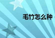 毛竹怎么種（毛竹如何種植）