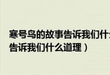 寒號(hào)鳥的故事告訴我們什么道理用一句名言（寒號(hào)鳥的故事告訴我們什么道理）