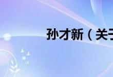 孫才新（關(guān)于孫才新的介紹）