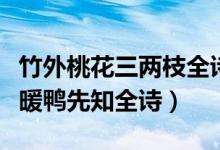 竹外桃花三兩枝全詩（竹外桃花三兩枝春江水暖鴨先知全詩）