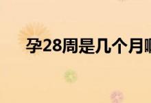 孕28周是幾個(gè)月?。ㄔ?8周是幾個(gè)月）