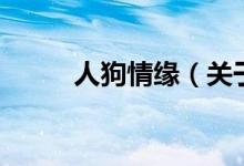 人狗情緣（關(guān)于人狗情緣的介紹）